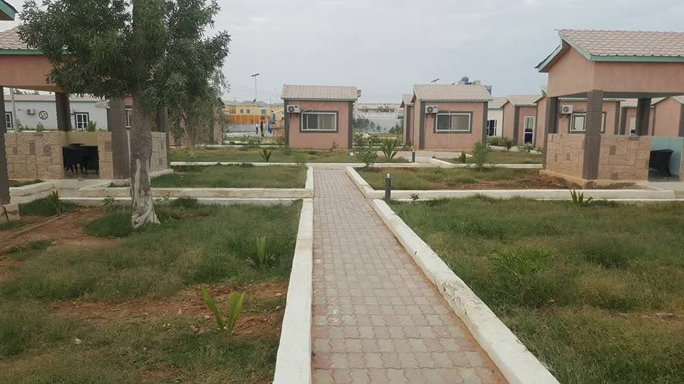 Rays garden